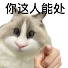 0xprosecute's profile picture. 