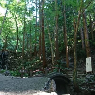 eN4uA4yjyc26277's profile picture. 