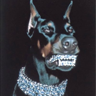 allwithloveleah's profile picture. while you lookin, want a kiss?💋 |