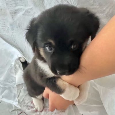 un__happi's profile picture. 