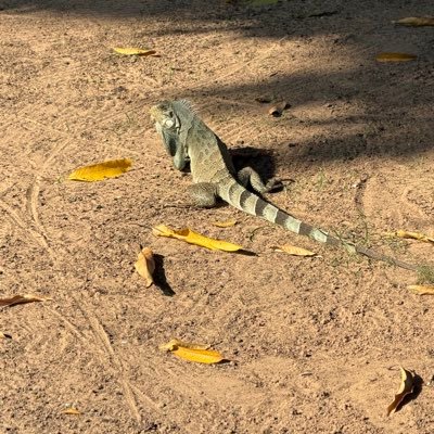 peter042131's profile picture. 