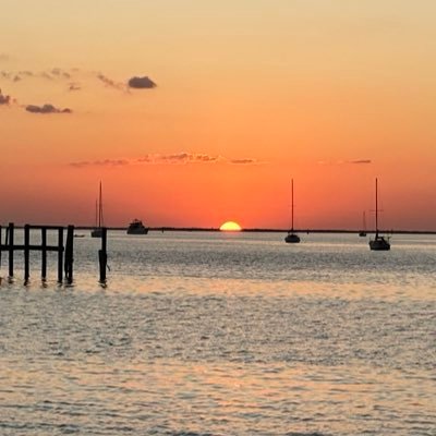 Conniednk's profile picture. 