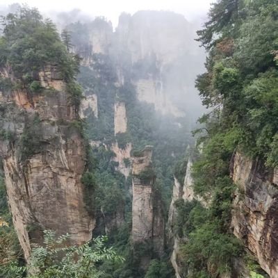 lei_zhu18308's profile picture. 