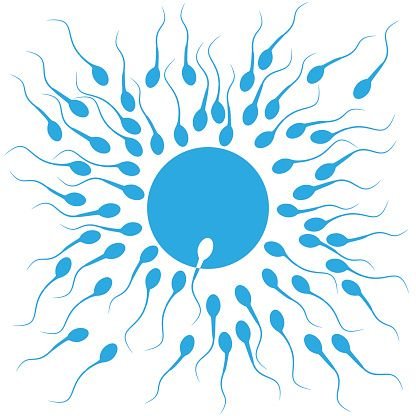 Cumsoral's profile picture. 