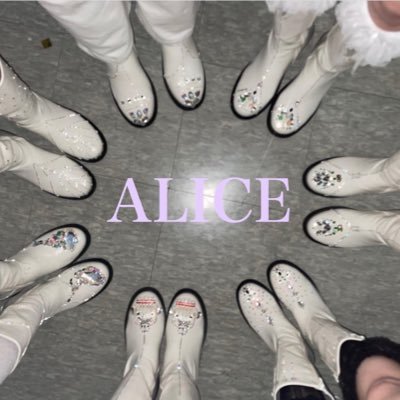 shikachan1963's profile picture. NO ALICE,NO LIFE. But Hearts2Hearts fills the gap in my heart.