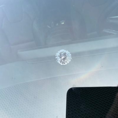 bollox3d's profile picture. no thanks