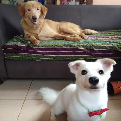 ahofiza's profile picture. 