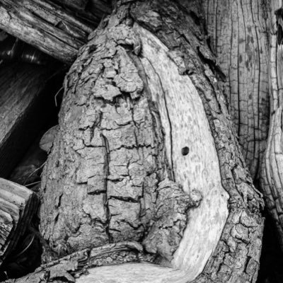 ur7lust's profile picture. 🤯🤯🤯 写真はいんすたで👉️ https://t.co/e1GpP9d3WU