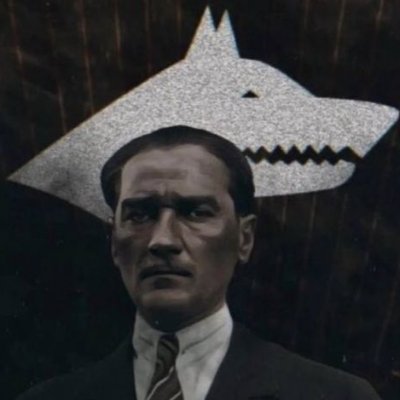 bozkirinlordu's profile picture. 