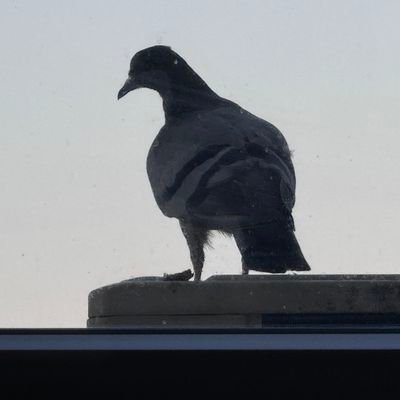 ajtov2001's profile picture. 