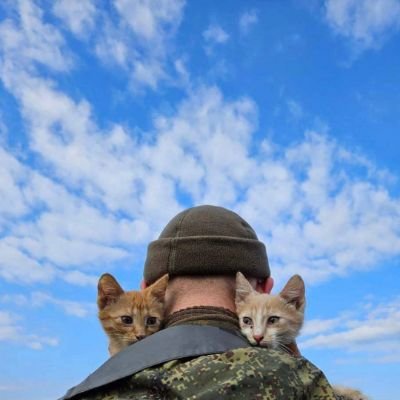 mprkso's profile picture. trying to live while watching time pass by.