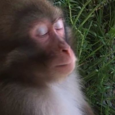 rezenolol's profile picture. working in the office by day and the midlane by night -= 23 = EuW 🆓🇵🇸🇸🇩🇨🇩