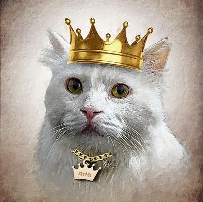 Eᵐᵖᵃᵗᶤ Pᵃᵗᶤ Profile