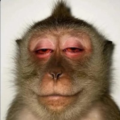 Clipthat156907's profile picture. 