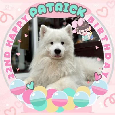 Mark4PAT's profile picture. Mommy Patrick Star🌟@patrick_pppat
#แพทริค #แพทริคณัฐวรรธ์ #PatrickFinkler
#Patrick尹浩宇 #尹浩宇 #INTO1Patrick #PΛTRIƆK
🐰https://t.co/vRMcACWuQo