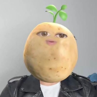 Bipo1382951's profile picture. 