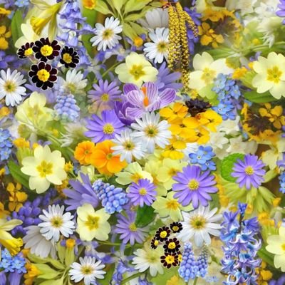 Natal84995580's profile picture. Українка..Не маю здоров'я..Виховую одна сина...😥ПриватБанк 5168-7451-5620-8511.PayPal:natatalanatala822@gmail.com