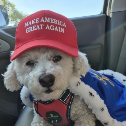 ddgalinca's profile picture. Pure Blooded Proud American girl in Commie California. ULTRA MAGA.  🇺🇸🇺🇸🇺🇸🇺🇸🇺🇸🇺🇸🇺🇸🇺🇸🇺🇸🇺🇸🇺🇸🇺🇸🇺🇸🇺🇸🇺🇸🇺🇸🇺🇸🇺🇸🇺🇸🇺🇸