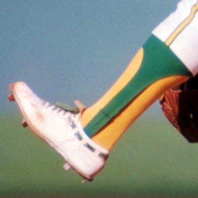 Stirrups Now! Profile