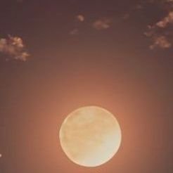 gdh1337703's profile picture. لكَمْ بِتُّ حُبًّا لِيُمْنَاكَ الَّتِي
غَدَتْ رُوحِي وَكُلَّ هِيَامِي