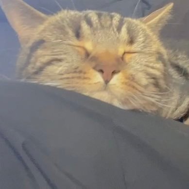 j4y4tl's profile picture. 