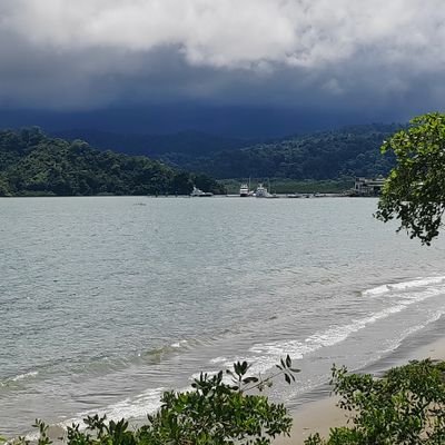 Calerits1's profile picture. 