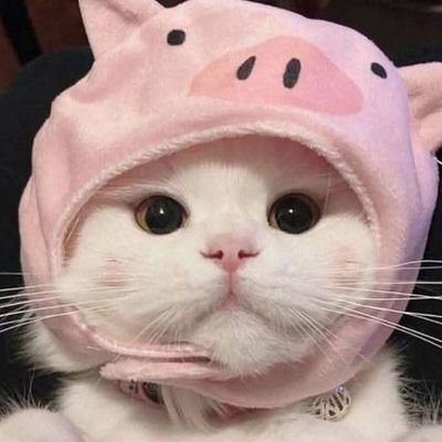 @NH33512625