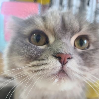 y7HBf1CD6Q82GT8's profile picture. スロット好きですwよろしくです