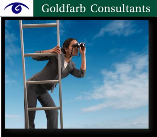 goldfarbMX's profile picture. Consultoría e Investigación de Mercados