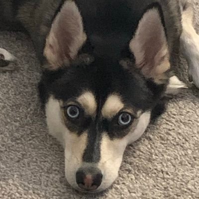 cilantro333's profile picture.