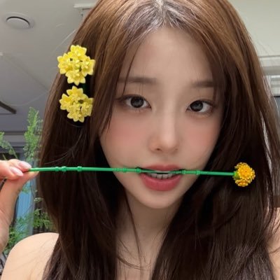 뽀끼さんのプロフィール画像