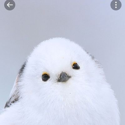 P6jl8c5jRy47949's profile picture. 日本ハム大好き
日ハムが日本一に成るまで
見守り隊！