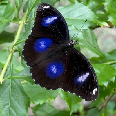 key12022's profile picture. 吃瓜群眾   PS(我這是追星帳號！追星之前我是台灣人）😆