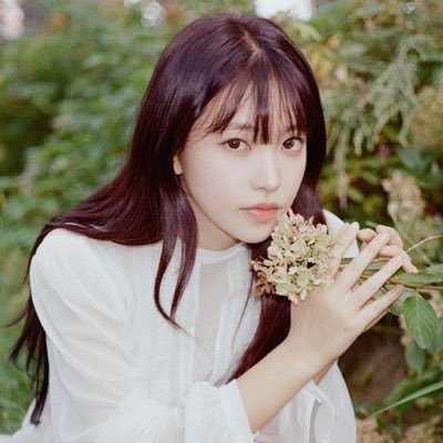 alchivve's profile picture. 