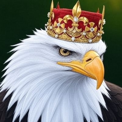 ChrisNotes2024's profile picture. American Nationalist. Lawyer.

If you vote for Democrats, you&#039;re not a good person.