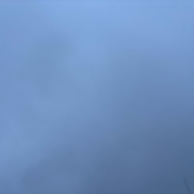 null197718662's profile picture. 1977年生まれの双極性障害２型。 DV夫から逃げた。ようやく最近離婚成立。