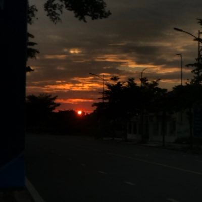 baohoang9502's profile picture. 