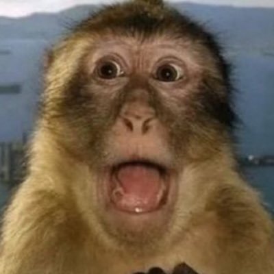 vSwaxyy's profile picture. 20 • #BTC #XRP $BLOCK • DM For Promo🚀