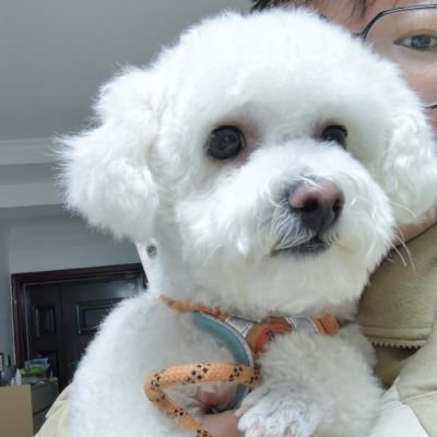 zhangqian206's profile picture. 糖影,奶爱,emibonnie,janekao
都好喜欢
互关呀,有需要我刷推的我都帮忙