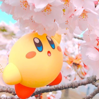 26_yuutn's profile picture. モンスト🎮➿推しパトラ様✨💛 ➿SixTONES➿きょも🩷ྀི➿三浦大知🎤➿STARGLOW🌟➿ルイ⚡️➿ ❥@ymxmikumiku ⚠️変な絡みはご遠慮ください🙇‍♀️グルは所属してるいるため新たに入る予定は無いです🙇‍♀️子供がいるのでりある優先です。絆も新規で貯める予定はないです💭