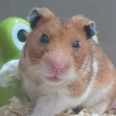 richardballer99's profile picture. i,am 64 years old. live in canada. seen alot of shit in my 64 years.