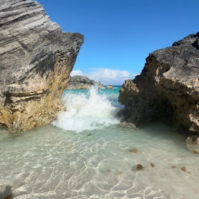 KC16029427's profile picture. 🎀👩🏼‍⚕️🐶🚀🌕🍷