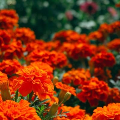 5A1TYD0G's profile picture. ほぼ見る専用のアカウントです。成人済