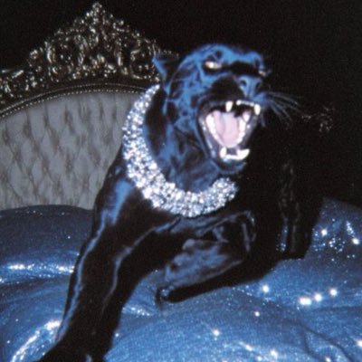 8w7spsx's profile picture. Have A Nice Life