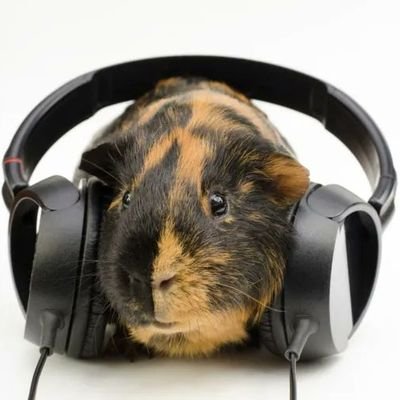 homemplanilha's profile picture. ainda mais chato do que antes