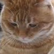 sinaalip33's profile picture. 