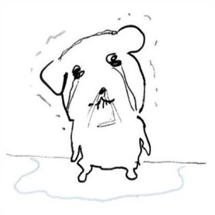 Kkam902's profile picture. 매국노 척결.