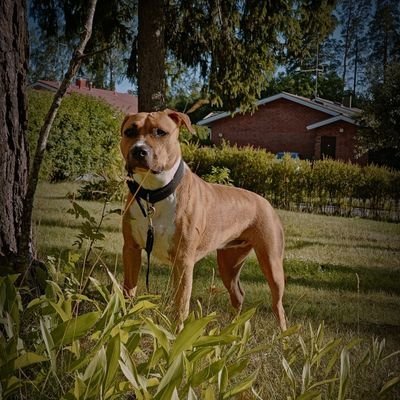 AlphaBitge4929's profile picture. Official Alpha account of @BitgetWallet.