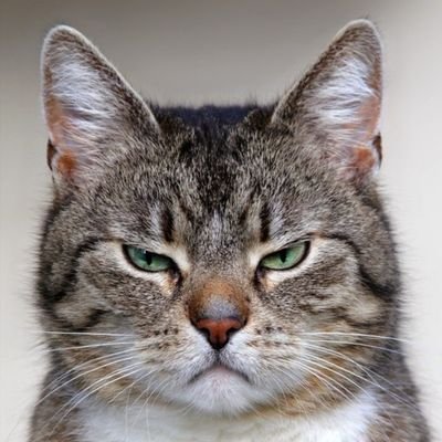 AGAKdjt's profile picture. 