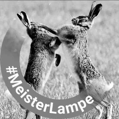 apfelrepublik's profile picture. Er war ein neugieriger, eigensinniger kleiner Bursche - ein Philosoph, dem es an guter Laune nie gebrach.